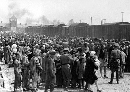 Hungarian Jews on the Judenrampe (Jewish ramp) after disembarking from the transport trains. Photo from the Auschwitz Album (May 1944)