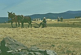 Labores agrarias en Serradilla del Llano.