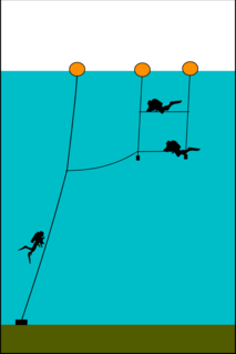 Dive planning The process of planning an underwater diving operation