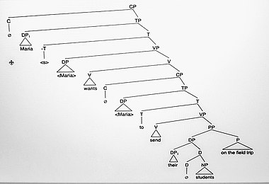 Syntax tree showing coreference in sentence (16) a Singular they -Syntax tree (3a).jpg