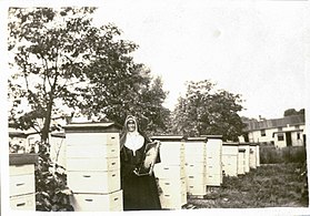 Sr. Morris, keeper of bees, c. 1900 Sister Ann Joseph Morris - Keeper Of The Bees.jpg