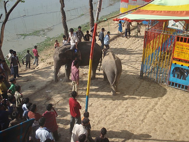 Shiva Chaturdashi in Sitakunda