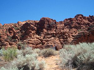 hikes in ivins utah