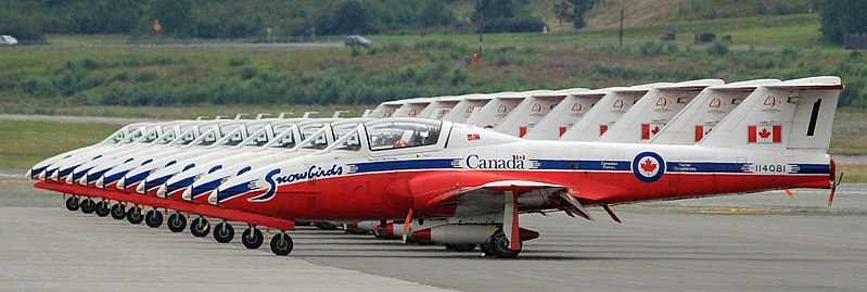 File:Snowbirds home to roost (5378194083).jpg