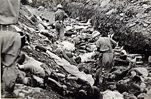 South Korean soldiers walk among the bodies of political prisoners executed near Daejon, July 1950 South Korean soldiers walk among dead political prisoners, Taejon, South Korea.jpg