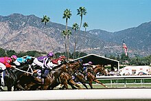 Start of the Breeders' Cup Juvenile in 2008 Start of the Juvenile Sprint at Santa Anita Park.jpg