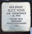 Alice Kohn, Buggestraße 21, Berlin-Steglitz, Deutschland