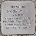 wikimedia_commons=File:Stolperstein für Helga Pauer (Wiener Neustadt).jpg