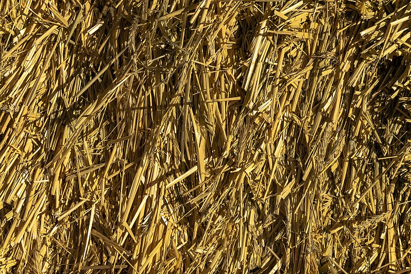 File:Straw texture.jpg