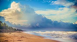 Cherai Beach things to do in Kerala