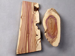 Wood of Syringa