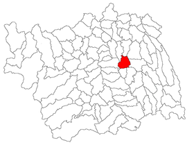Mjesto u okrugu Bacău