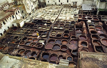 Tanneries(Garbarnia)