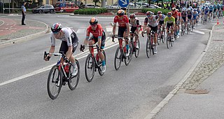 <span class="mw-page-title-main">2022 Team Bahrain Victorious season</span> Cycling team season