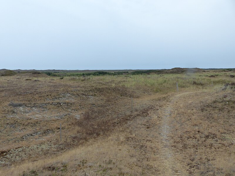 File:Texel Dunes (7).jpg