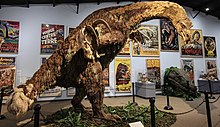 An installation from the Dinosaur Museum