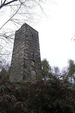 The Reform Tower in Autumn - geograph.org.uk - 584436