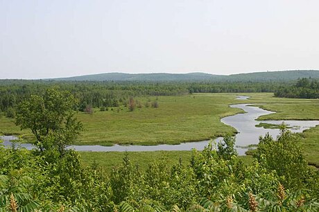 Aurora (lungsod sa Tinipong Bansa, Maine)