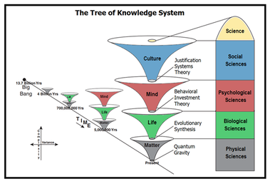 https://upload.wikimedia.org/wikipedia/commons/thumb/1/13/Tree_of_Knowledge_System.png/379px-Tree_of_Knowledge_System.png