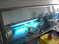 Đèn ống thủy ngân hơi với áp suất thấp tỏa sáng bên trong một tủ cấy với bước sóng cực tím ngắn khi không sử dụng để khử trùng diệt vi sinh vật (chỉ tác dụng trên bề mặt được chiếu)