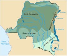 Карта рослинності ДР Конго (фр.)
