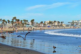 Venice Beach