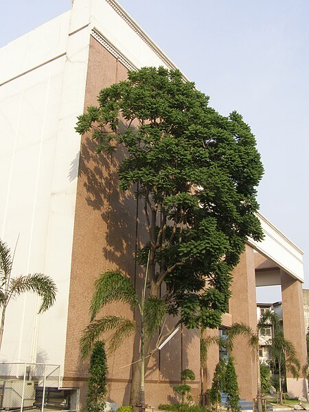 File:View Din Daeng Church 25 May 2008 - panoramio - CHAMRAT CHAROENKHET.jpg