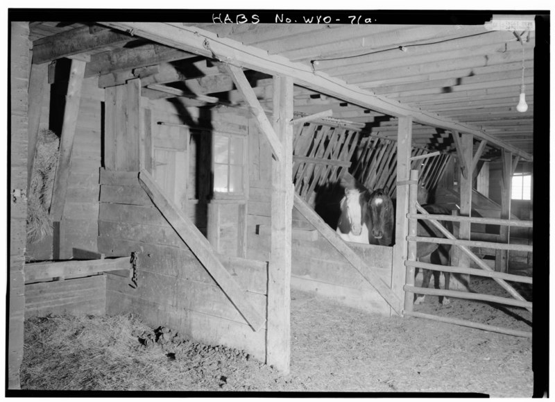 File:View of south side of barn showing horses - Swan Land and Cattle Company, Barn, State Route 313, Chugwater, Platte County, WY HABS WYO,16-CHUGW,1A-11.tif