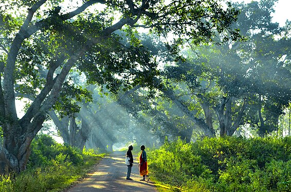 People of Alluri Sitharama Raju district, Araku Valley Photographer: Venkatesham3032