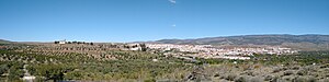 Vizion panoràmega