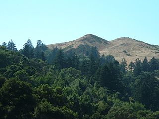 Windy Hill Open Space Preserve