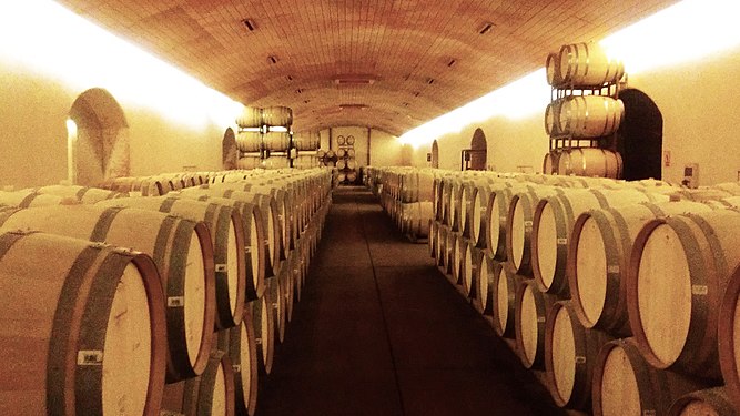 Wine barrels in Santiago, Chile