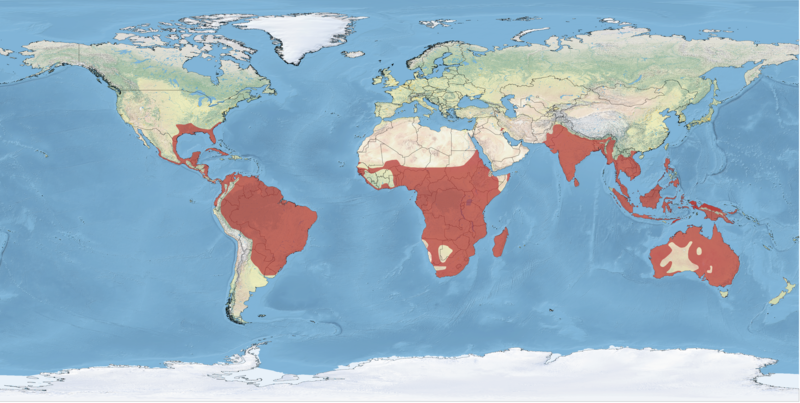 File:World Darter Range.png