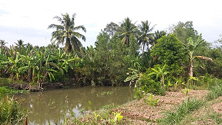 Rạch Xoài Hột