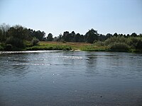 Zhizdra (river)