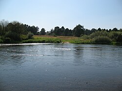 Река Жиздра (Чернышено).JPG