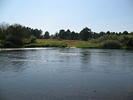 Река Жиздра (Чернышено) .JPG