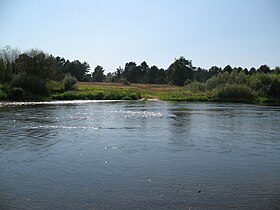 Река Жиздра (Чернышено).JPG
