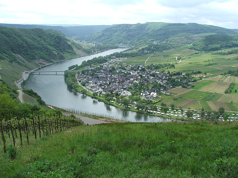 File:080110 wolf mosel.JPG