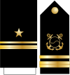 11.
SKN-LTJG.
svg