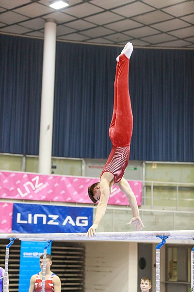 File:15th Austrian Future Cup 2018-11-24 Félix Blaquière (Norman Seibert) - 10808.jpg