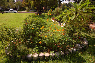 Meredith Gardens, Houston TX, 2005