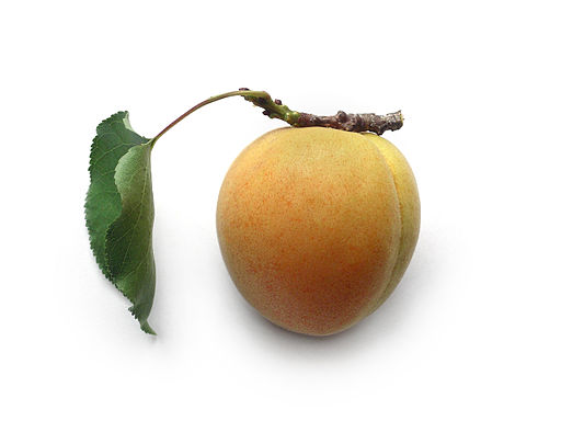 20070107 Apricot