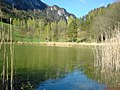 Thumbnail for Frauensee (Bezirk Kufstein)