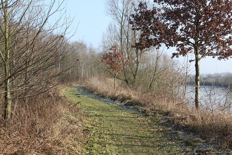 File:20110130 Schelde bij Merelbeke (0007).jpg