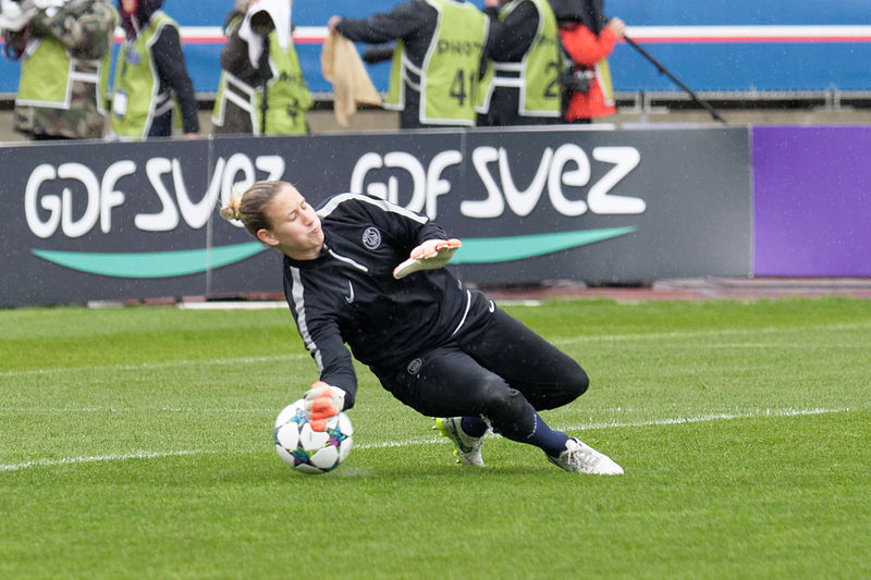 File:20150426 PSG vs Wolfsburg 068.jpg