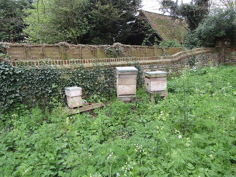 File:2018-04-24 Bee hive, Nature walk, Parish church of Saint Margaret, Church Road, Thorpe Market (3).JPG