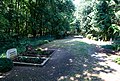 Deutsch: Waldfriedhof bei Torgelow, bei Dannenberg/Mark, Brandenburg