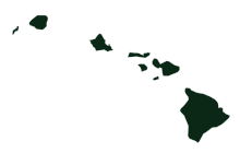 Results by county:
Brewer--100%
No data 2018 HI gubernatorial Green primary.svg