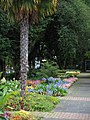 Botanischer Garten, Hanfpalme und Blumenbeete.